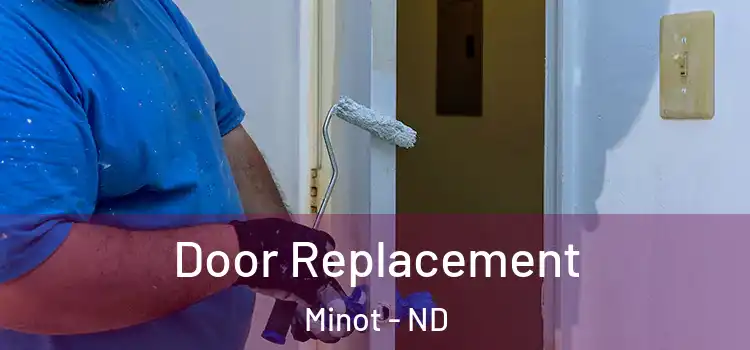  Door Replacement Minot - ND