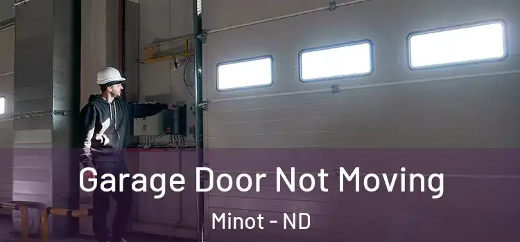  Garage Door Not Moving Minot - ND